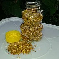 Пыльца цветочная 100гр